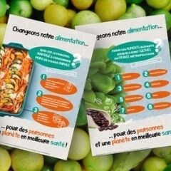 Télécharger nos Posters sur le développement durable 